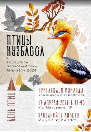 ���� ����