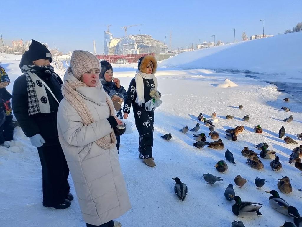 ����� ����� �����