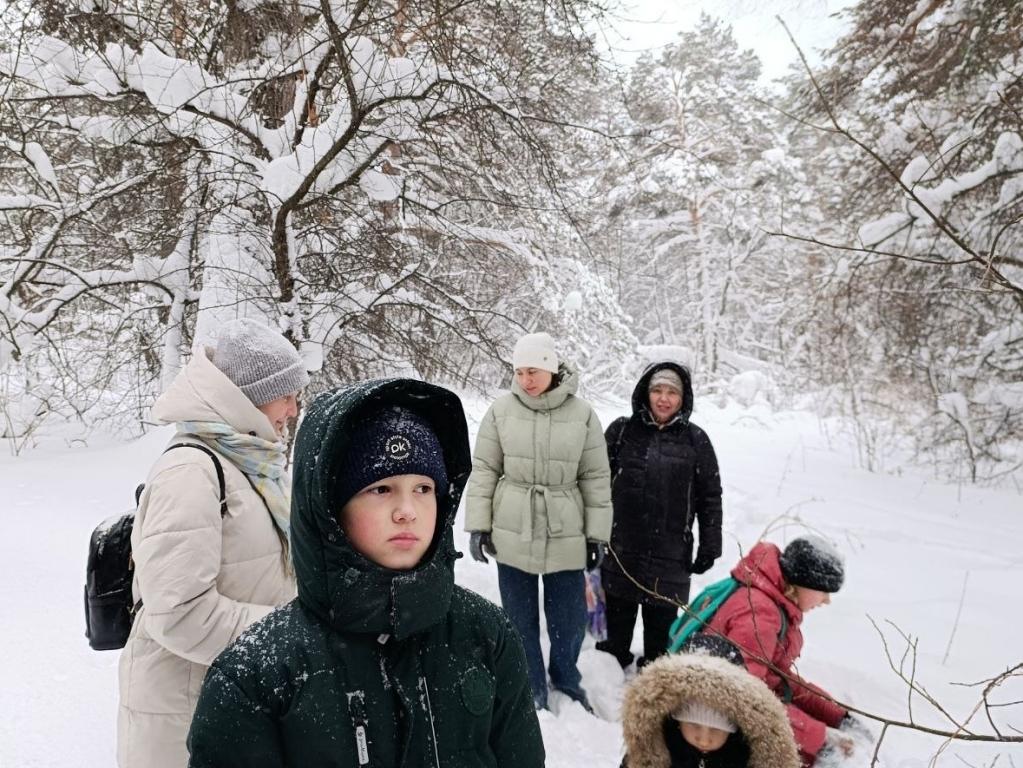 ���� ���������� � �������� ����